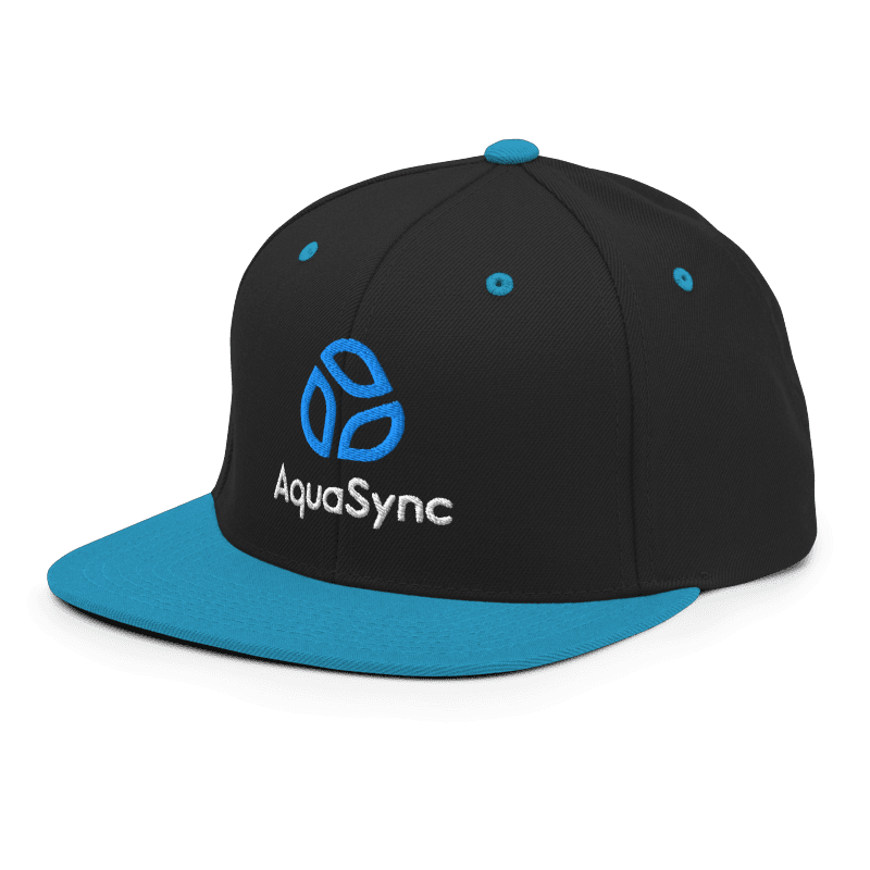 Snapback MAIN