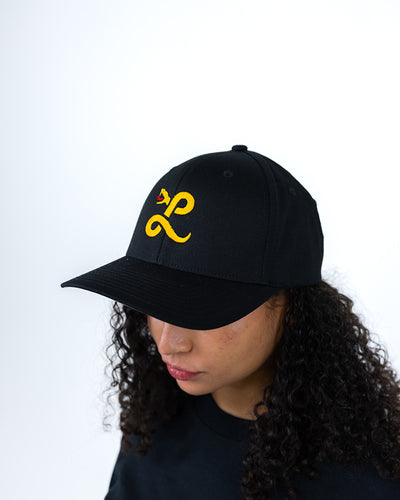 Flex Hat MAIN