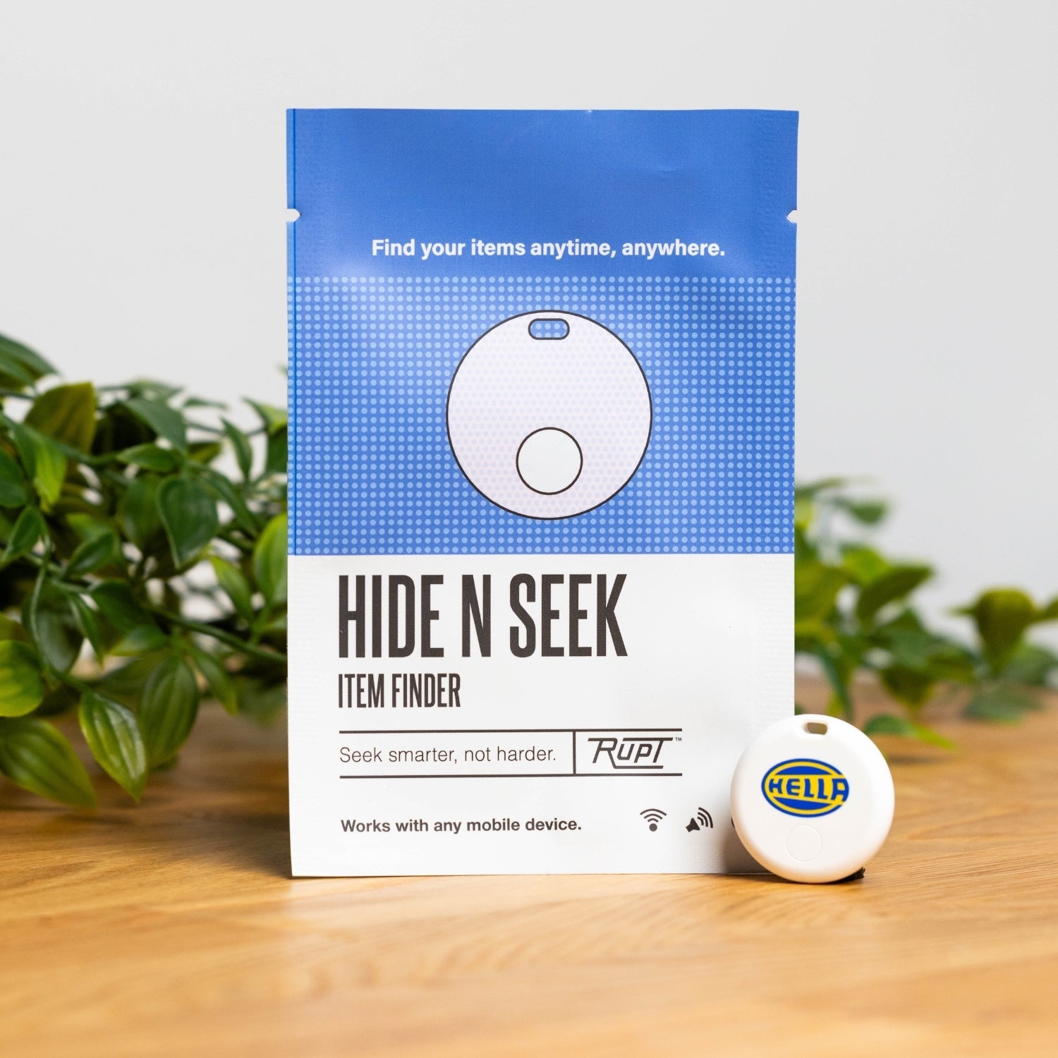 Hide N Seek MAIN