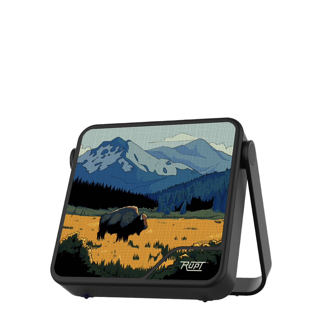 DIPSTER NATURE EDITION