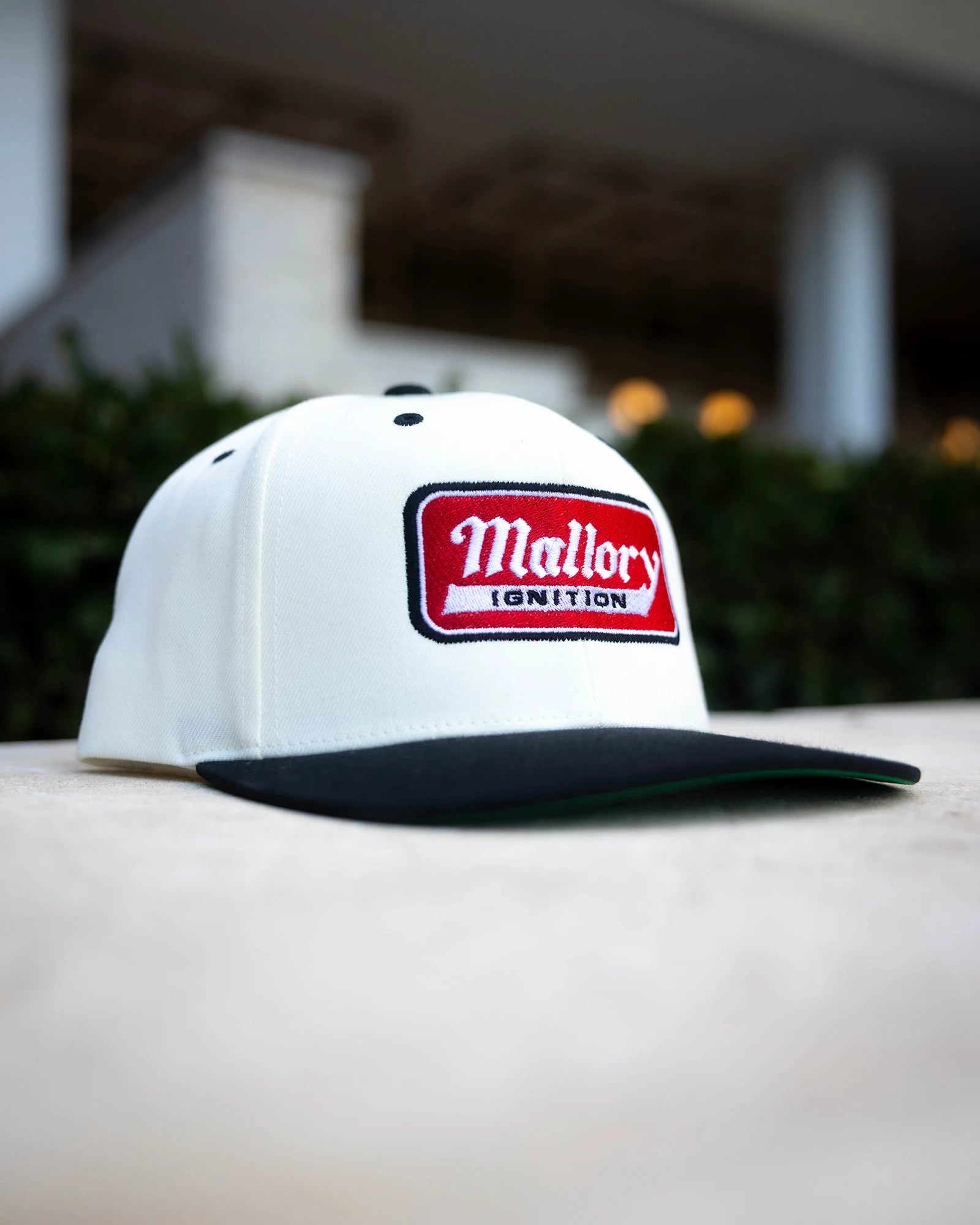 Snapback MAIN