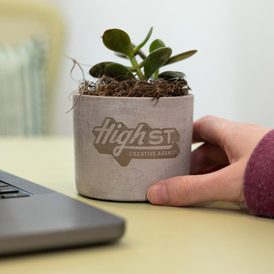 Mini Parker Plant MAIN