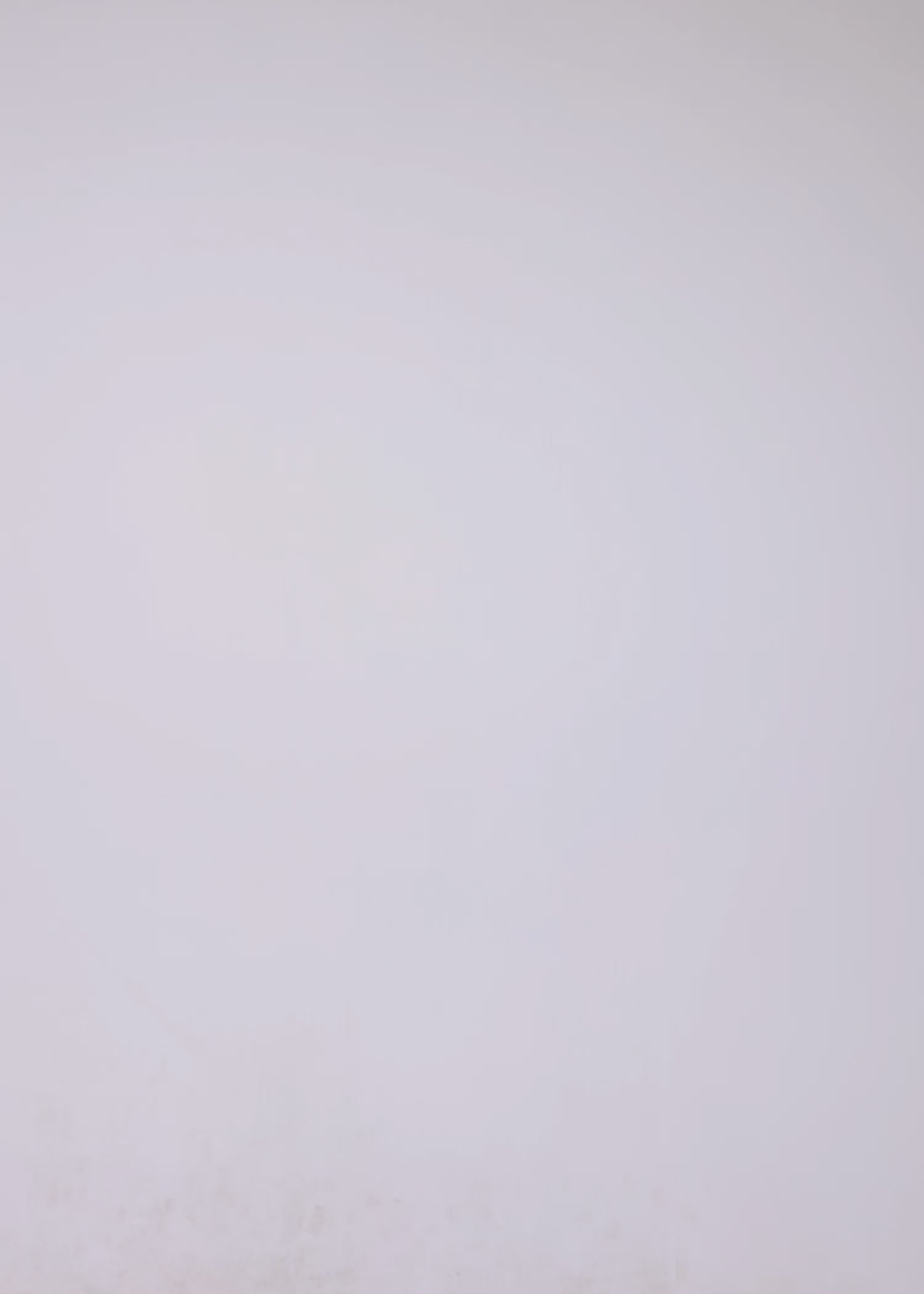 Load video: The Paddyvee MAIN