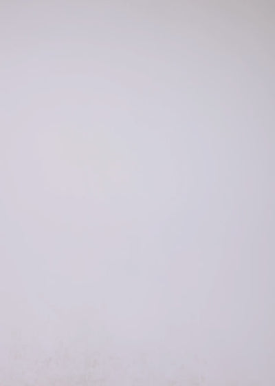 The Paddyvee MAIN
