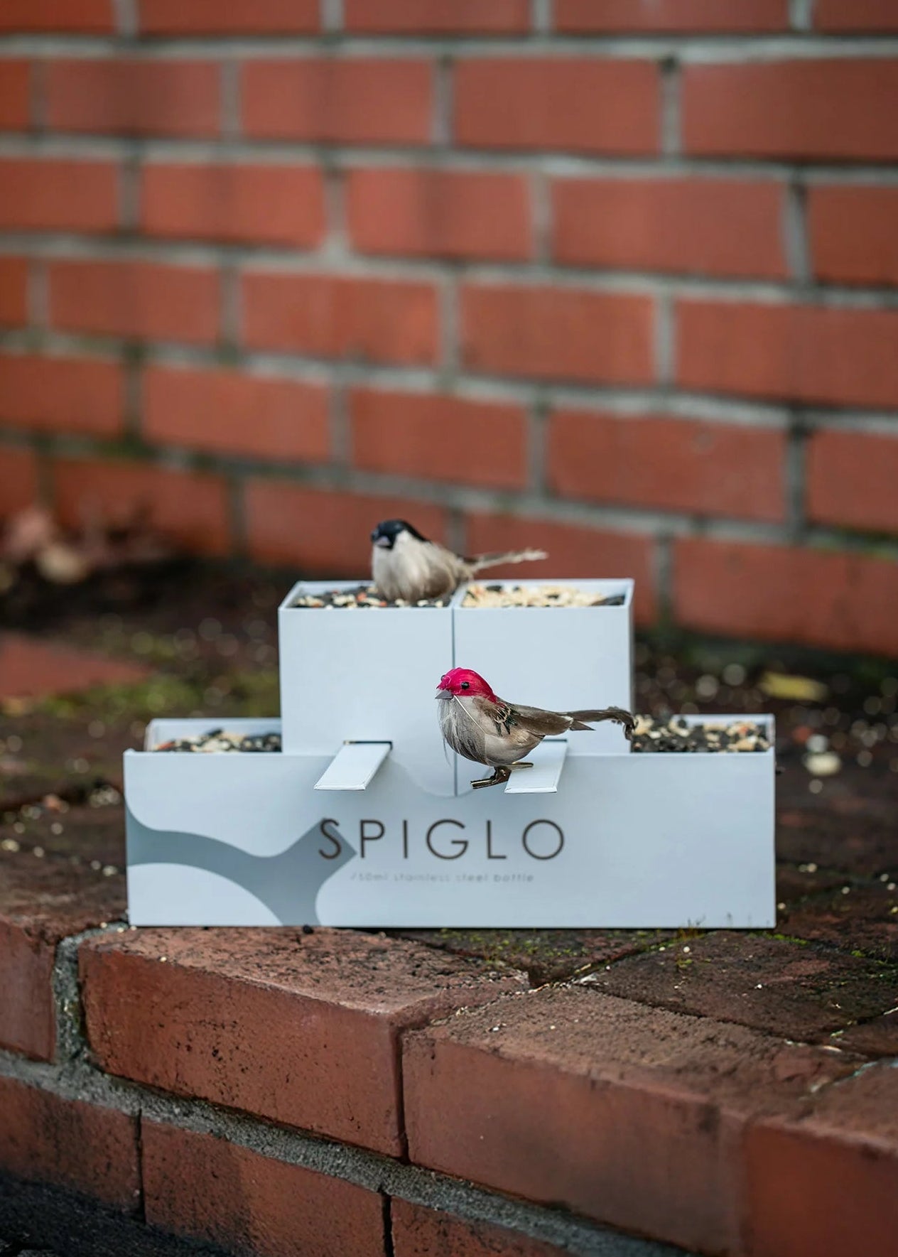 Spiglo MAIN