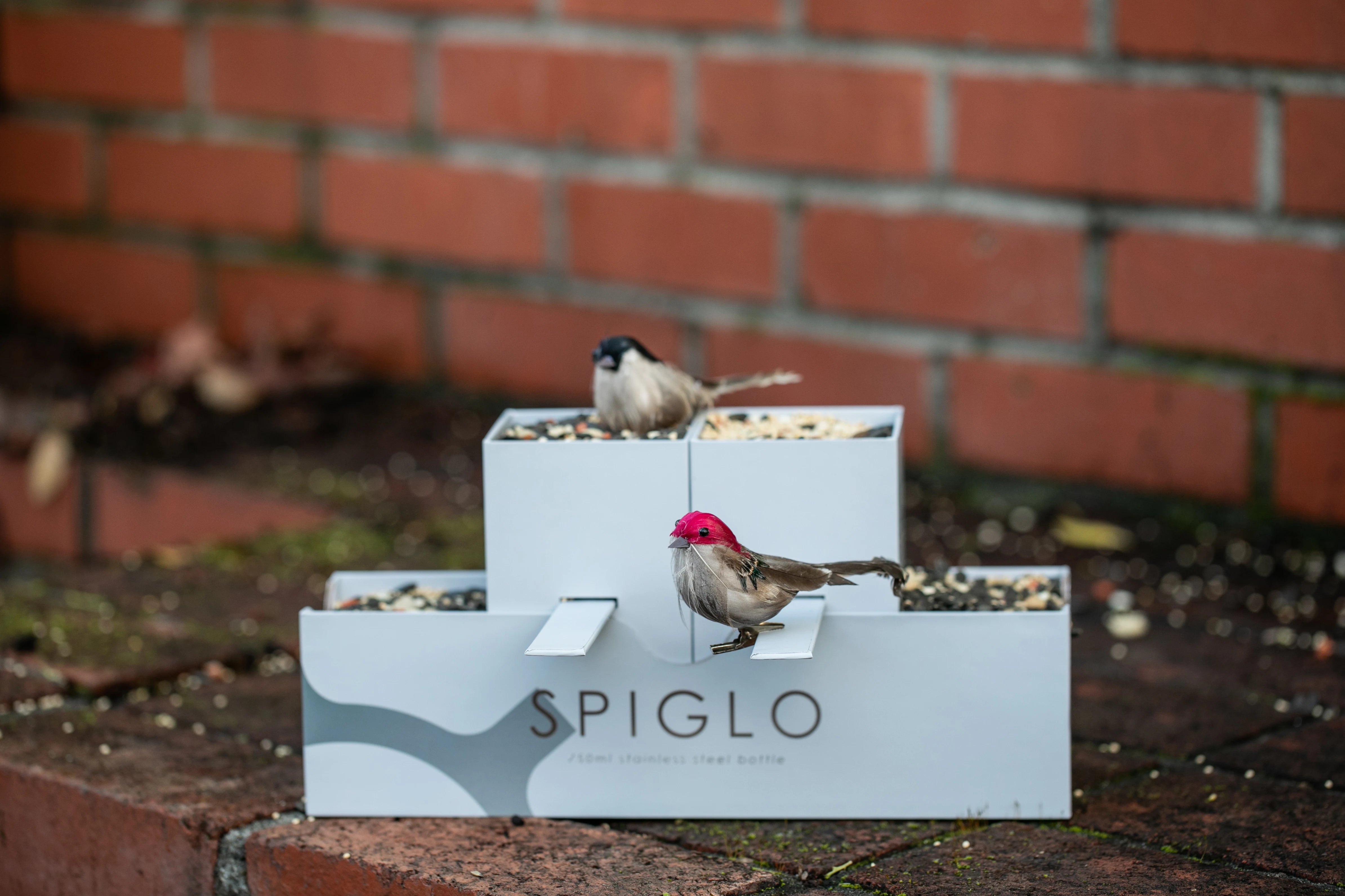 Spiglo MAIN
